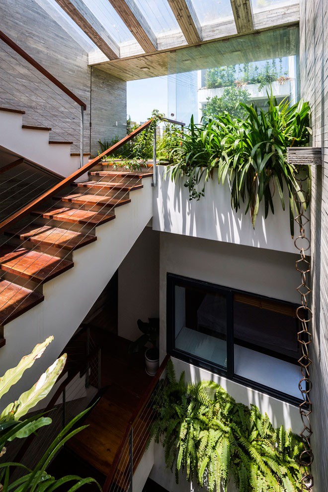 ngoi nha viet khien moi nguoi ngo ngang vi co ca mot cong vien tren san thuong va o giua nha