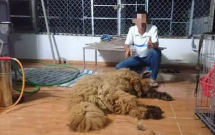 mua cho ngao tay tang ve lam thit nhau roi khoe tren facebook thanh nien bac lieu bi chi trich du doi