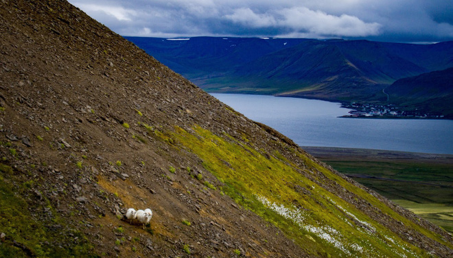 may ai co the ngo hon dao bang iceland da sap sua bi xoa so boi hien tuong sa mac hoa