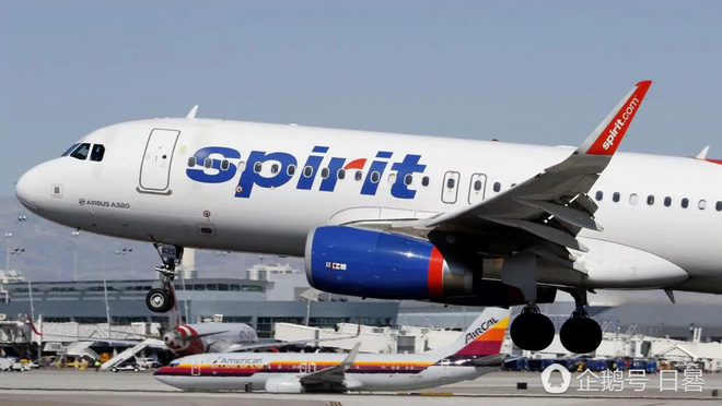 cho con bu truoc luc cat canh nghe si duong cam goc hoa bi hang hang khong my duoi khoi chuyen bay