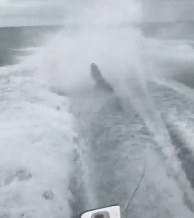 tra tan ca map keo le dang sau ca no cao toc 3 thanh nien phai tra gia dat cho hanh dong tan ac cua minh