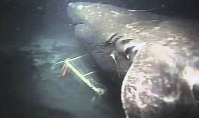 5 bi an chua co loi giai dap tu thai binh duong sau tham