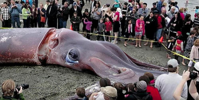 5 bi an chua co loi giai dap tu thai binh duong sau tham