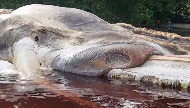 5 bi an chua co loi giai dap tu thai binh duong sau tham