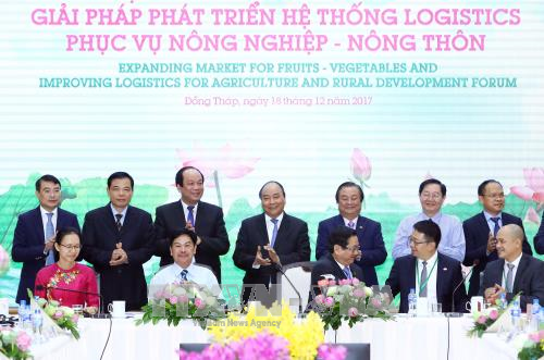 thu tuong chi phi logistics cao anh huong den gia thanh rau cu qua cua viet nam