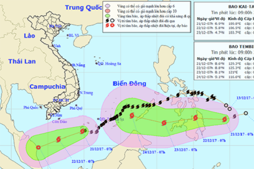 con bao so 15 chua tan bao moi da hinh thanh