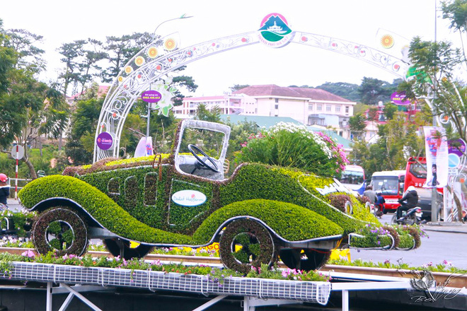 duong hoa ruc ro va dep mat truoc them festival hoa da lat thu hut khach du lich
