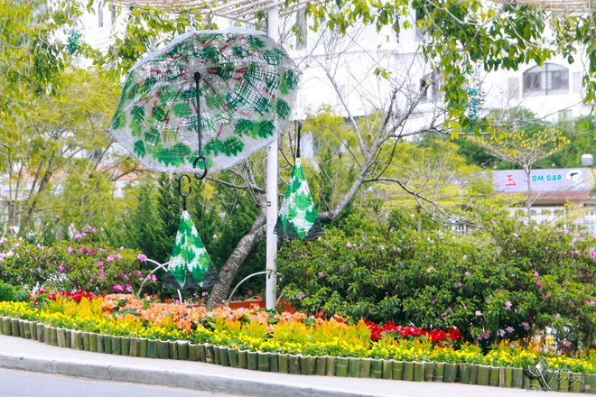 duong hoa ruc ro va dep mat truoc them festival hoa da lat thu hut khach du lich