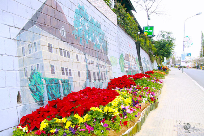 duong hoa ruc ro va dep mat truoc them festival hoa da lat thu hut khach du lich