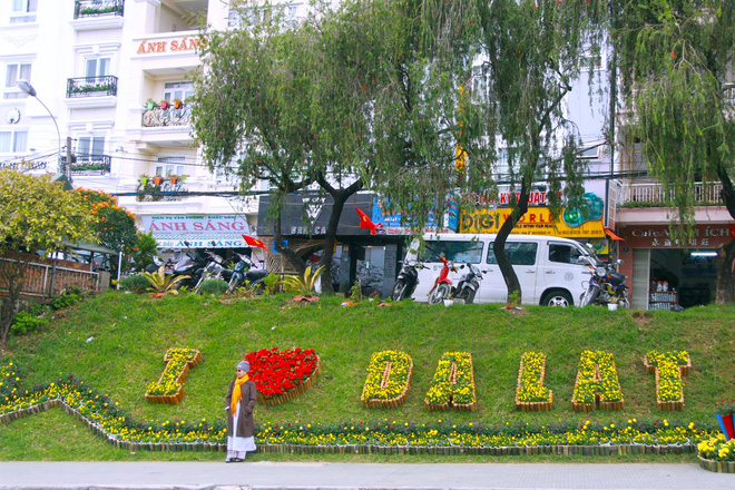 duong hoa ruc ro va dep mat truoc them festival hoa da lat thu hut khach du lich