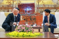 le hoi hoa anh dao se la dau an ky niem 45 nam ngoai giao viet nhat