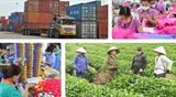 Nguyên Phó Thủ tướng Vũ Khoan: Việt Nam phải chọn được “gen trội” để phát triển kinh tế