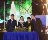 sap khanh thanh toa nha doji tower kiet tac kim cuong quy gia cua viet nam