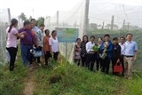 quy chanel ho tro gan 20 ty dong giup phu nu cai thien sinh ke chong bien doi khi hau