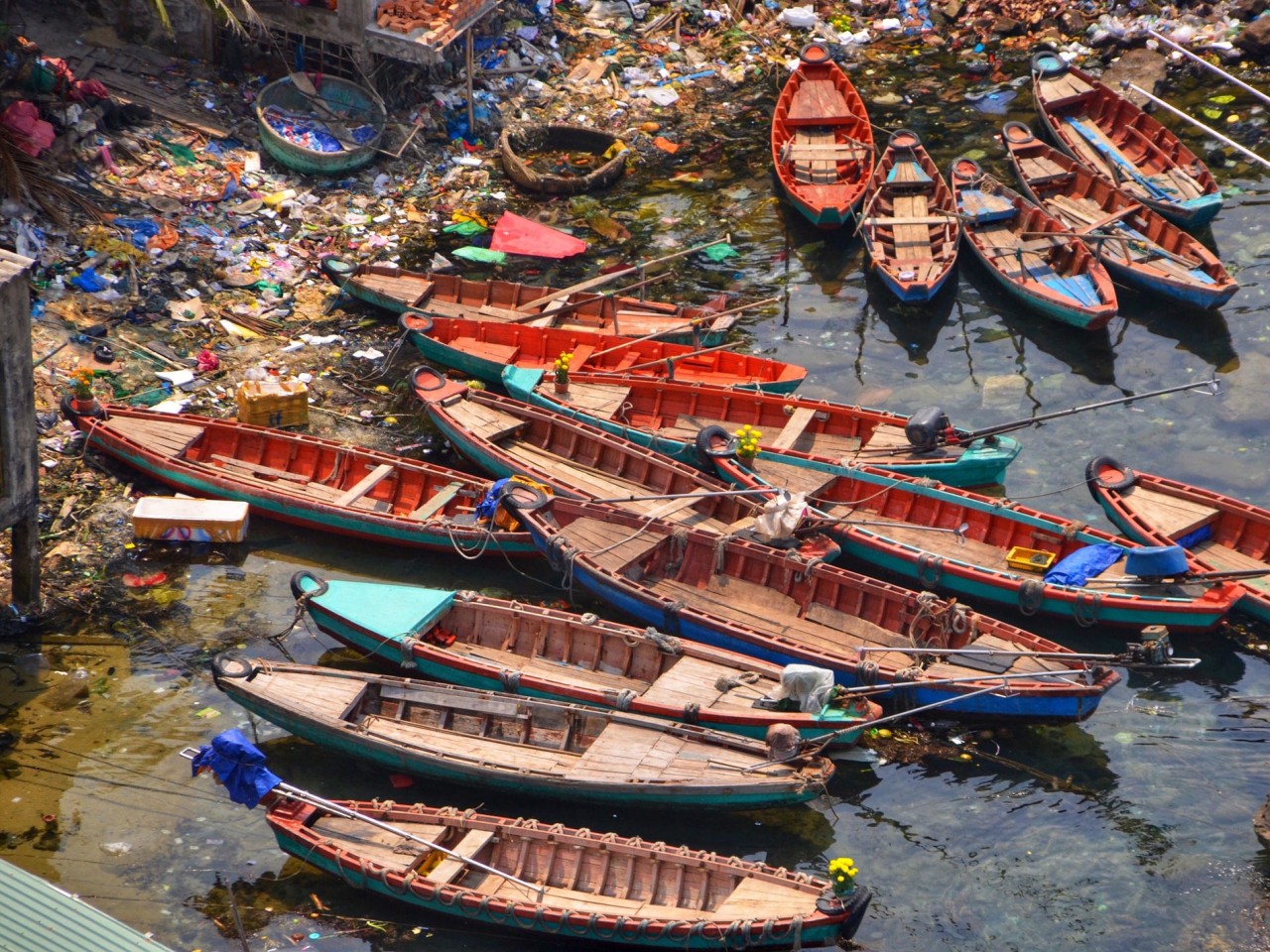 Business Insider: Đừng 