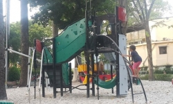 Từ ánh mắt lơ là của phụ huynh, yêu râu xanh tác quái