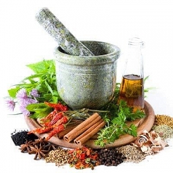 Các bài thuốc cổ truyền hỗ trợ điều trị ung thư tụy