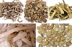 Trị gan nhiễm mỡ bằng y học cổ truyền