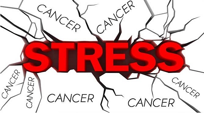 nhung tac dong tieu cuc len nao bo khi stress