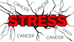 Những tác động tiêu cực lên não bộ khi stress
