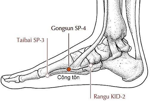 huong dan cach bam huyet chua chung thieu mau nao nguy co dot quy chi tiet nhat