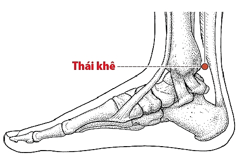 bam huyet giup ho tro dieu tri benh soi than