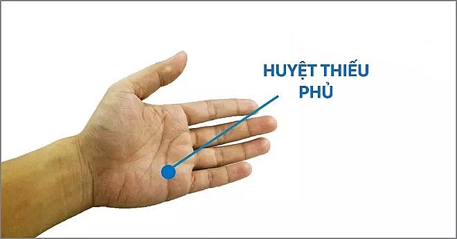 nhung vi tri bam huyet giup gan phoi va than khoe manh