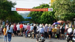 Hàng vạn người chen nhau xem chọi trâu Đồ Sơn