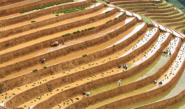 bon hinh anh cua viet nam lot vao nhung khoanh khac dep nhat the gioi 2019