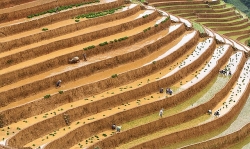 Bốn hình ảnh của Việt Nam lọt vào Những khoảnh khắc đẹp nhất thế giới 2019