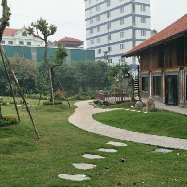 co ngoi hoanh trang cua nghe si hai xuan bac