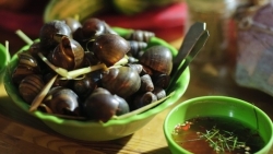 Món ngon Hà Nội: 4 món ăn đêm ấm lòng thực khách