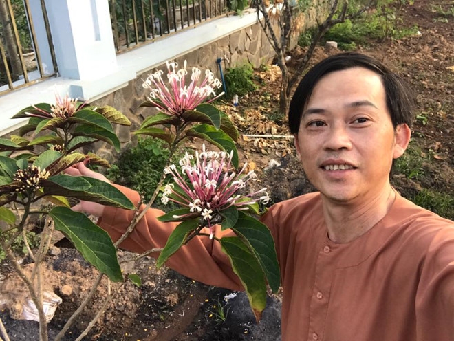 dam vinh hung hoai linh khong bao gio e show