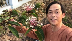 Đàm Vĩnh Hưng: “Hoài Linh không bao giờ ế show”