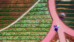4 hình ảnh Việt Nam gây ấn tượng tại Sony World Photography Awards