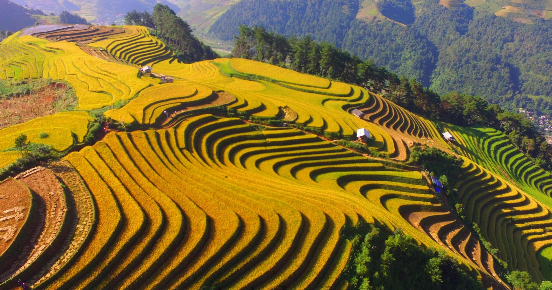 mu cang chai duoc cntraveler xep hang dia diem ruc ro nhat the gioi
