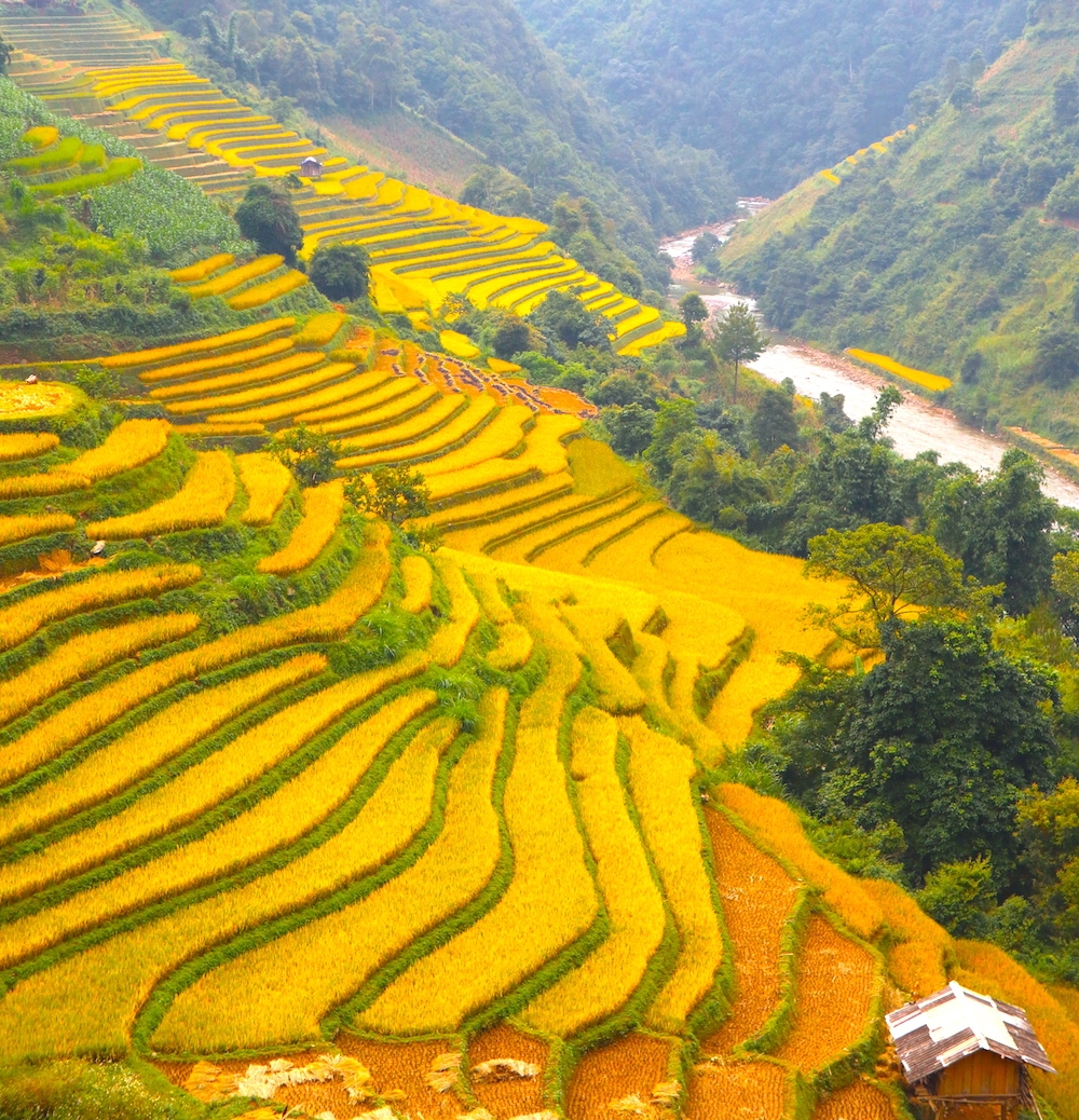 mu cang chai duoc cntraveler xep hang dia diem ruc ro nhat the gioi