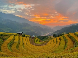 Mù Cang Chải được CNTraveler xếp hạng địa điểm rực rỡ nhất thế giới