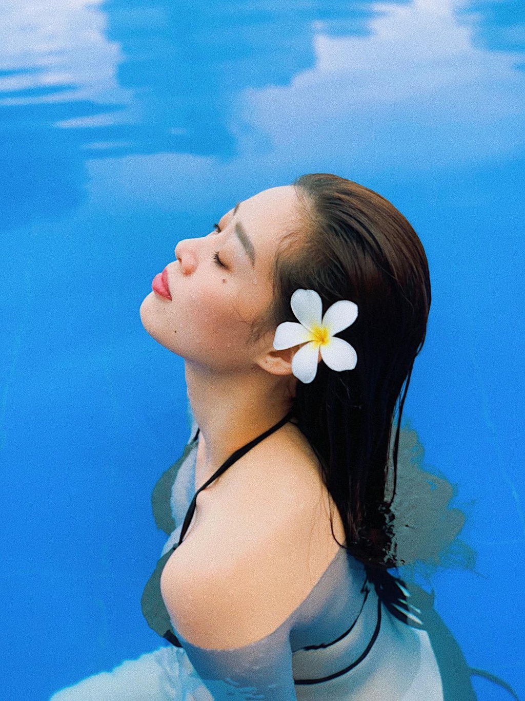kha nh van ha nh tri nh chong gai tro tha nh tan hoa ha u hoa n vu vie t nam 2019