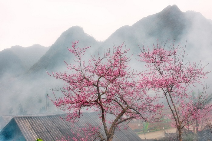5 dia danh du lich viet nam lot top diem den tuyet voi cua the gioi