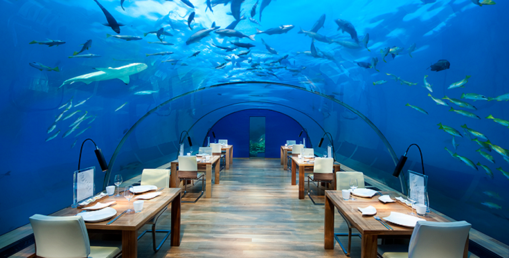4145 nha hang dyyi biyn ithaa maldives