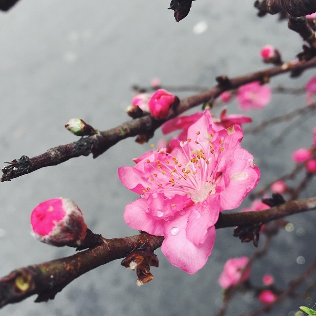 Top lời chúc mừng năm mới 2020 ngắn gọn nhất top loi chuc mung nam moi 2020 ngan gon nhat