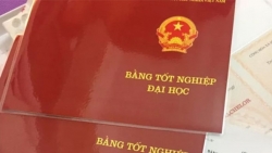 chinh phu ban hanh quy dinh moi ve viet hoa