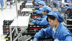 5 truong hop nghi huu truoc tuoi van huong nguyen luong trong nam 2020