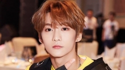 giai quyet che do bhxh doi voi nguoi lao dong bi cach ly do virus corona