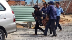 kho i to ba t 15 do i ca t ta c tre n so ng ho ng