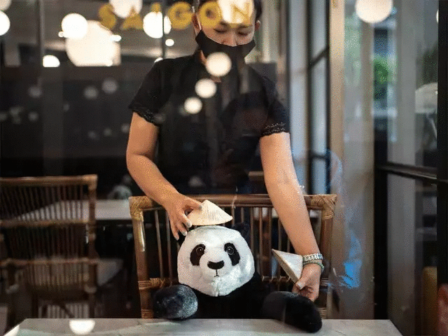 xep khach ngoi an voi gau bong cho do lac long nha hang viet len bao nuoc ngoai