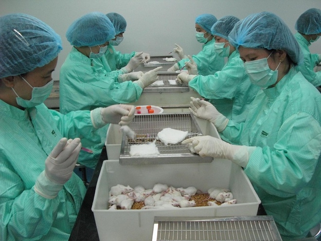 viet nam tien hanh thu nghiem dot 2 vaccine covid 19 tren chuot