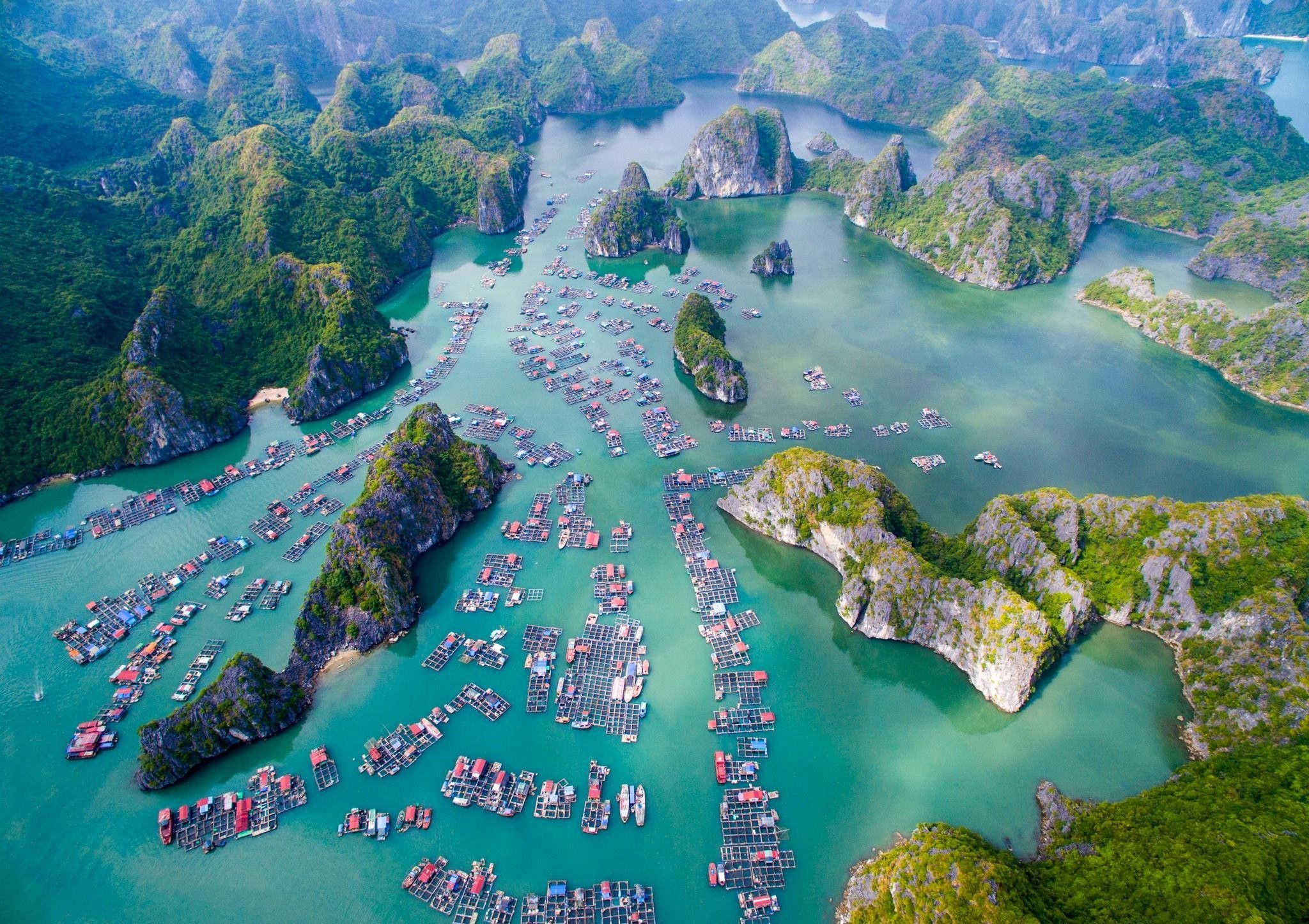 tai tu titanic ca ngoi vinh lan ha cua viet nam mang ve dep cua thien duong