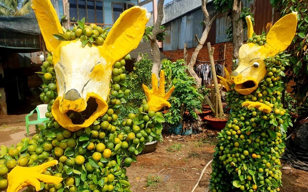 loat bieu cam hai huoc cua nhung chu chuot vang dip tet canh ty 2020